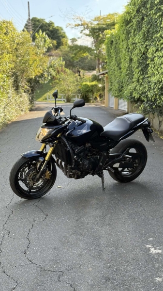HORNET DOS SONHOS